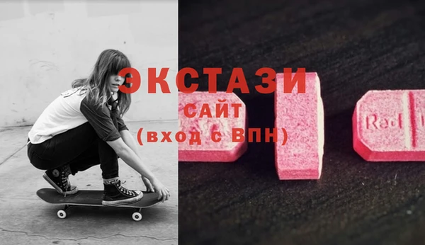 стаф Белокуриха