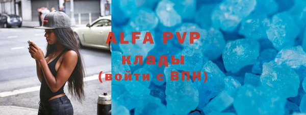 стаф Белокуриха