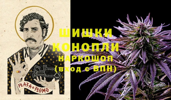 стаф Белокуриха